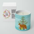 thumbnail image 2 of Carolines Treasures BB9243CDL 3.75 x 3.25 in. Unisex Red Fox Christmas 10 oz Decorative Soy Candle, Teal, 2 of 5