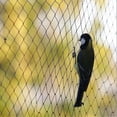 thumbnail image 3 of Anti Bird Bird-prevention Net Netting Mesh For Fruit Crop Plant Tree Garden 2cm Net Hole 5x15/20m Black Nylon Anti Bird Net Mesh, 3 of 5