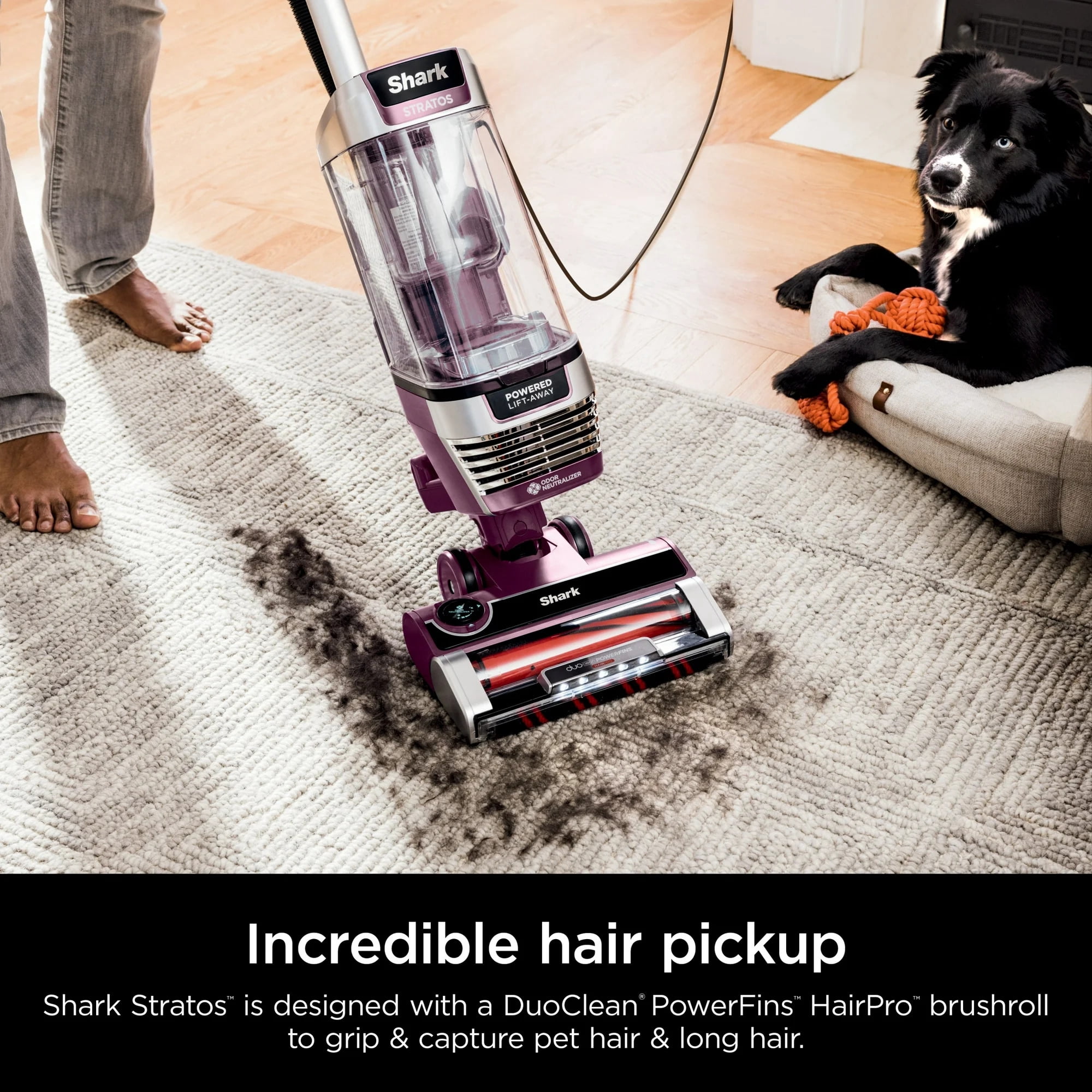 Shark Stratos AZ3000 Upright Vacuum, DuoClean PowerFins HairPro, Powered Lift-Away, Self-Cleaning Brushroll, Odor Neutralizer, HEPA, Pet, Red Plum