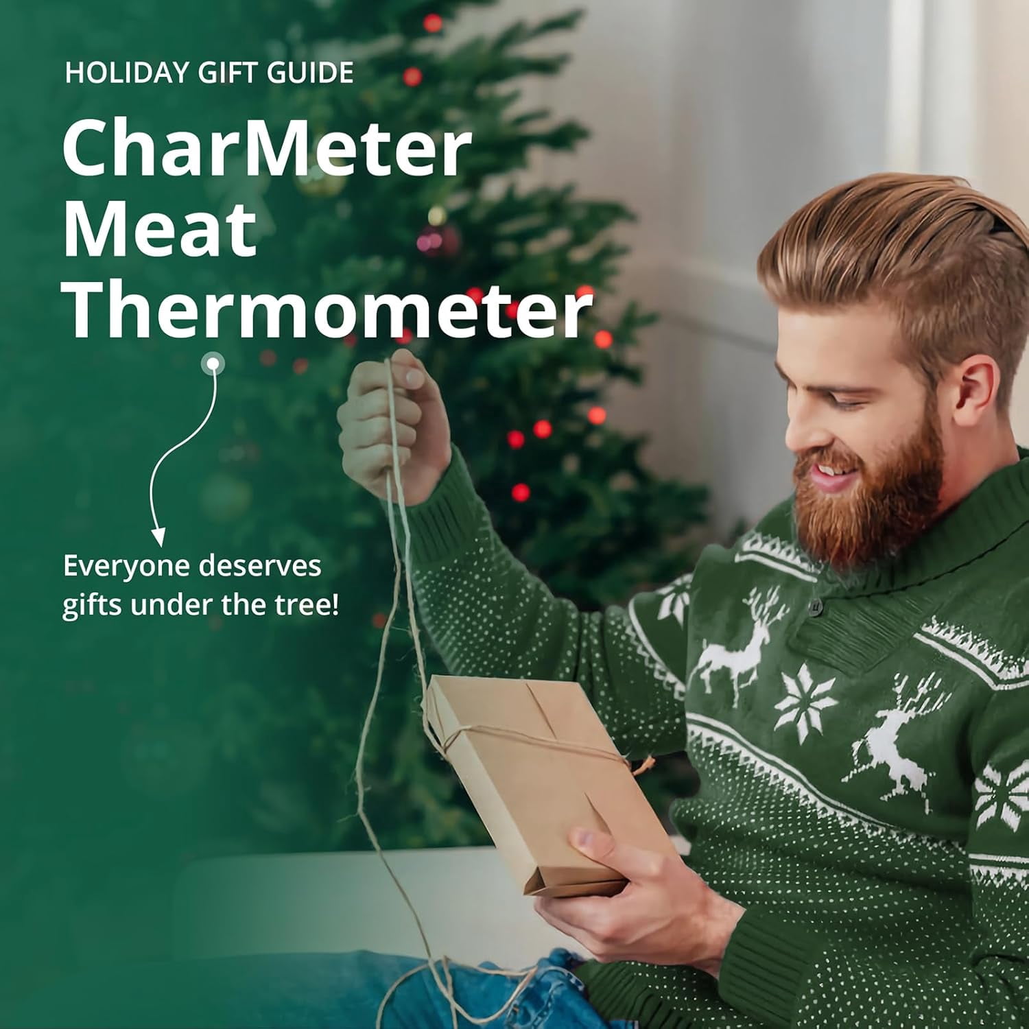 Wireless Meat Thermometer INT-11X-B, Bluetooth Meat Thermometer for Grilling and Smoking, App Remote Control, IP67 Waterproof, 25 Hours of Continuous Cooking, Stylish Gift for Men Women,Green