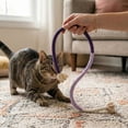 thumbnail image 2 of SIfdSeng Interactive Cat with Rope for Biting and Play Interactive Cat Teaser for Indoor Cats, 2 of 3