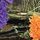 thumbnail image 4 of 3 piezas de hojas artificiales para acuario de reptiles, plantas decorativas para reptiles, plantas de terrario simuladas, decoraciones para plantas de reptiles, 4 of 5