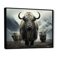 thumbnail image 2 of Designart "Monochromatic Yak Grazing Scene" Yaks Floater Framed Wall Art Prints, 2 of 5