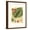 Brown Frame, variant on Art.com Fantastical Botanical I Art Print by Vision Studio, 12" x 16"