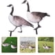 thumbnail image 4 of BRIGHTFUFU 2pcs Garden Duck Stakes Garden Decoración de patos Decoración de pato acrílico Decoración de jardín, 4 of 8
