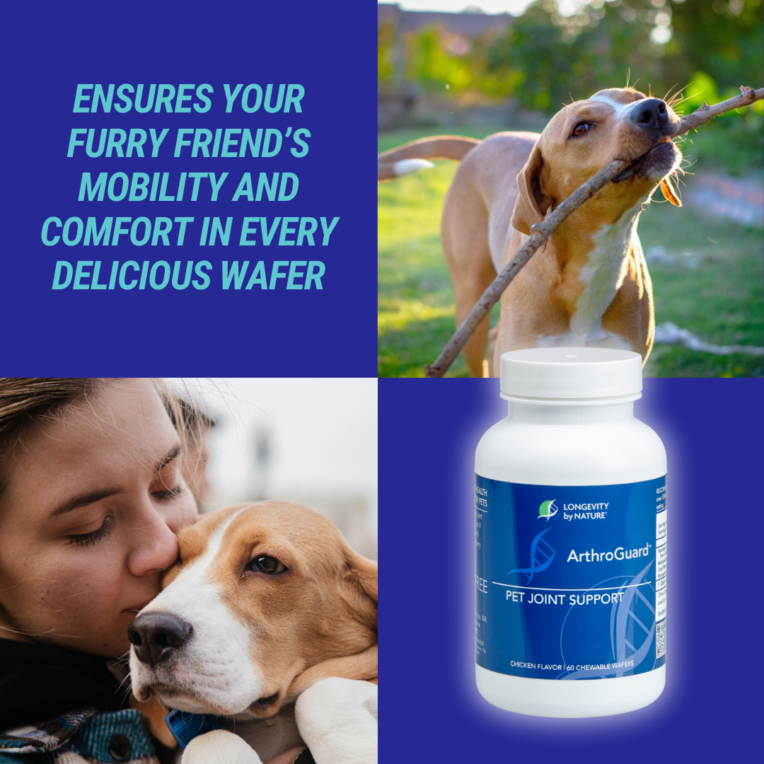 Longevity by Nature ArthroGuard Dog Joint Collagen Type 2 Pet Wafers, 90 Count