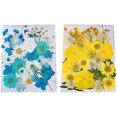 thumbnail image 1 of 2 copias de flores prensadas, flores de resina para molde de resina, hojas de flores secas para hacer accesorios de velas Diy, 1 of 5