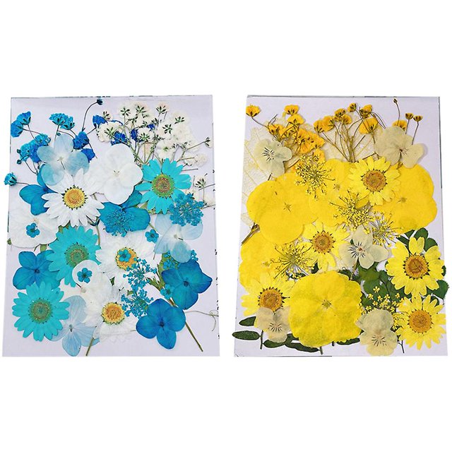 2 copias de flores prensadas, flores de resina para molde de resina, hojas de flores secas para hacer accesorios de velas Diy