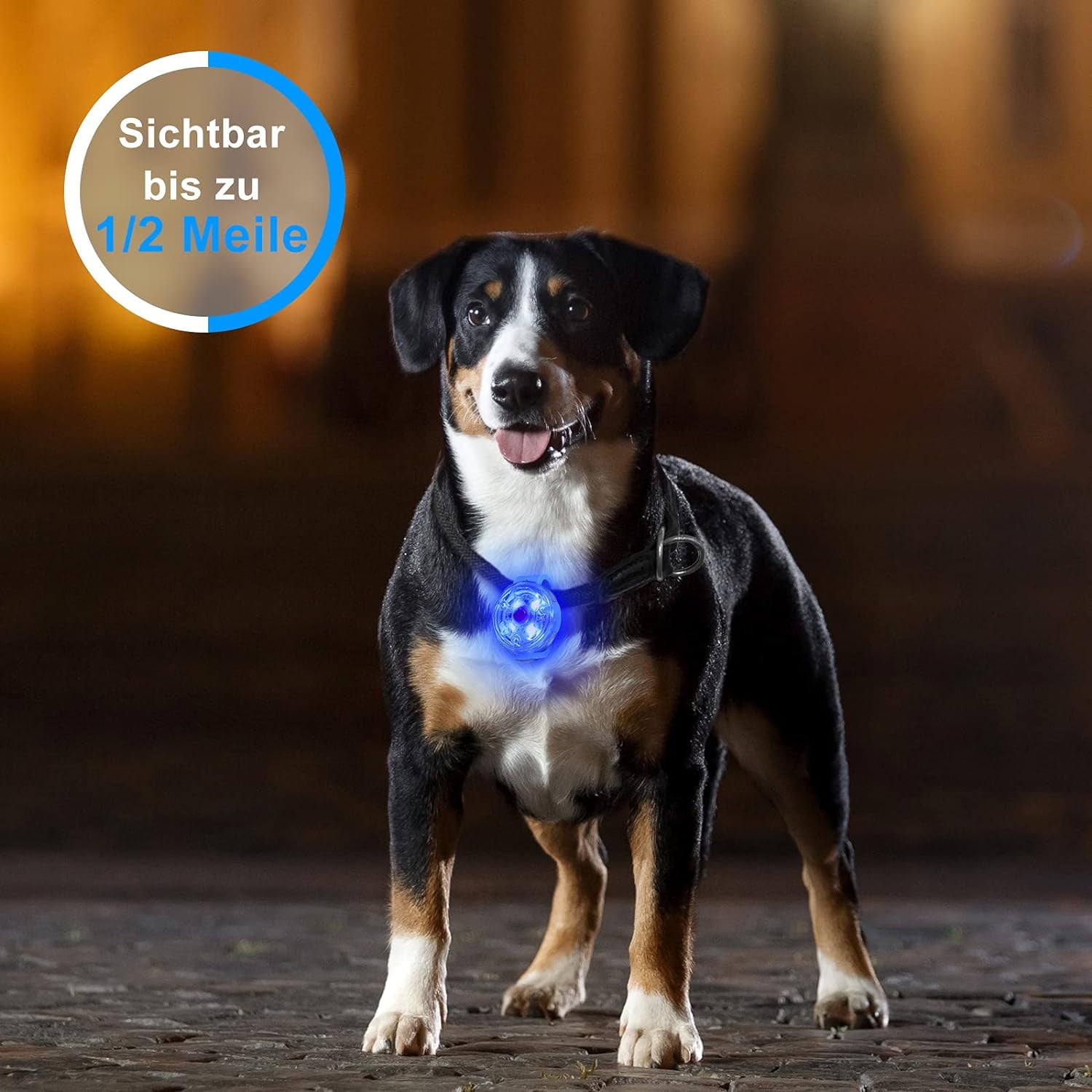 Safety LED Flashing Light for Dogs Blue Cats USB Rechargeable LED Dog Light 3 Flashing Modes Waterproof Safety Lights for Pets Walmart
