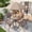 Brown, variant on LAZY BUDDY 6-Piece Patio Furniture Set with Umbrella, Outdoor Patio Dining Set with 4 Folding Chairs & Tempered Glass Table for Poolside, Backyard, Garden