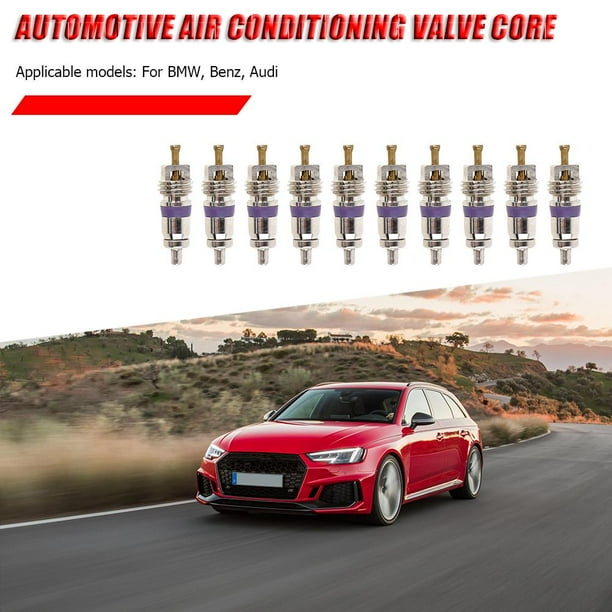10 unids/lote Universal cobre R134a coche Auto A/C aire acondicionado válvula núcleos Likrtyny Accesorios para autos y motos