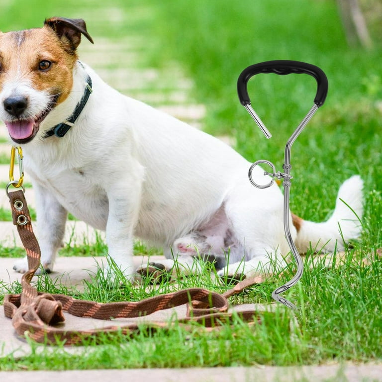 Dog Tie Stake Pet Ground Stake Dog Stake for Yard Lawn Stakes for Grass Dog Stake Spike Heavy Duty Stakes Walmart
