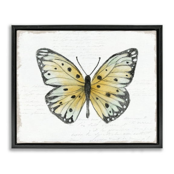 Stupell Industries Beautiful Butterfly on White Animals Painting Black Floater Framed Canvas Art Print Wall Art, 21 x 17