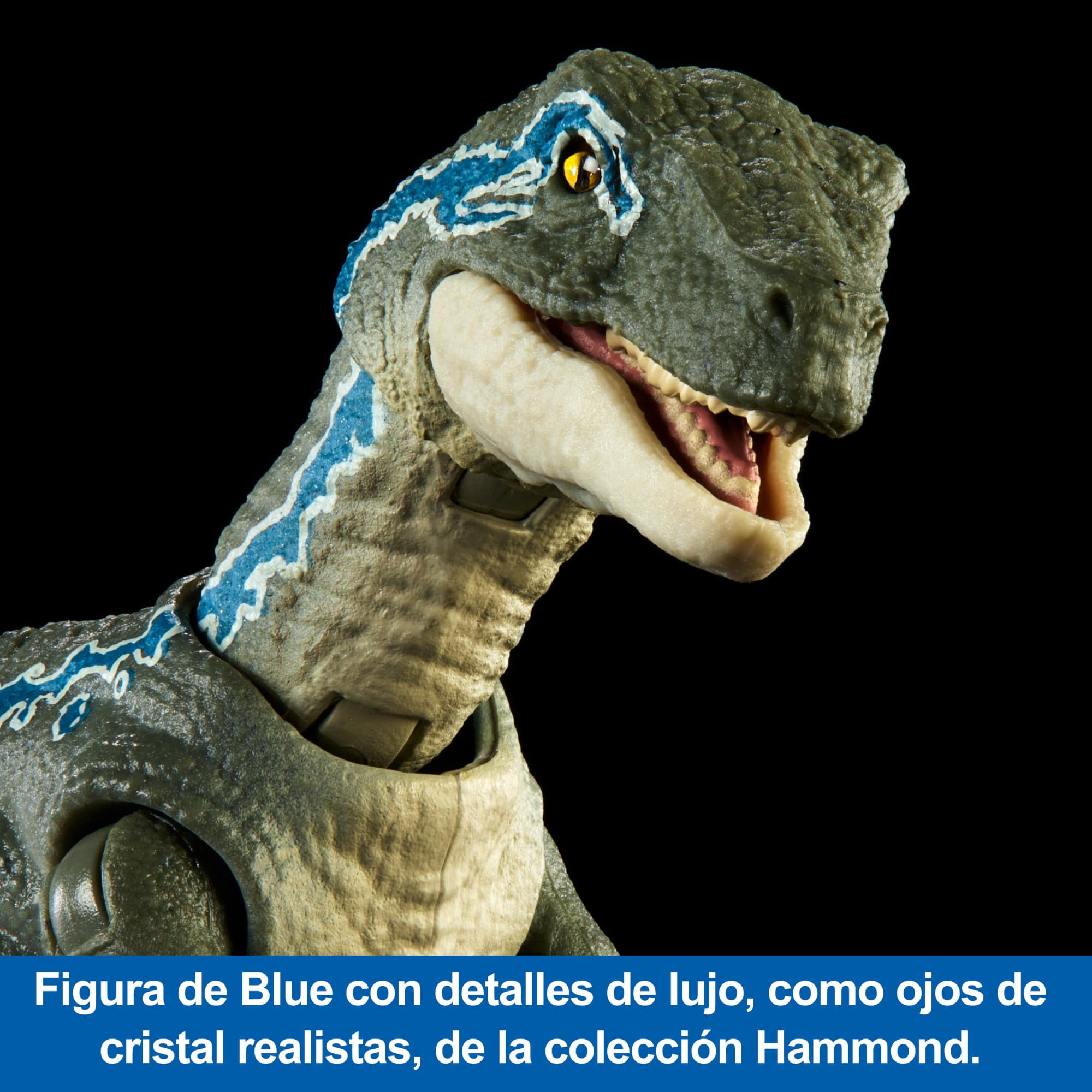 Jurassic World Hammond Collection Velociraptor 'Blue' Action Figure