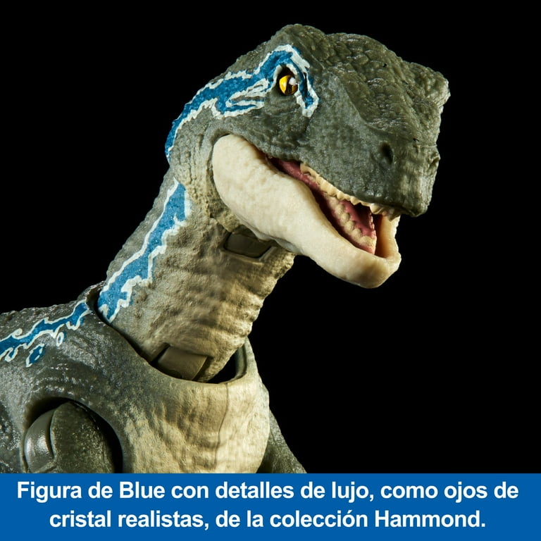 Jurassic World Hammond Collection Velociraptor 'Blue' Action