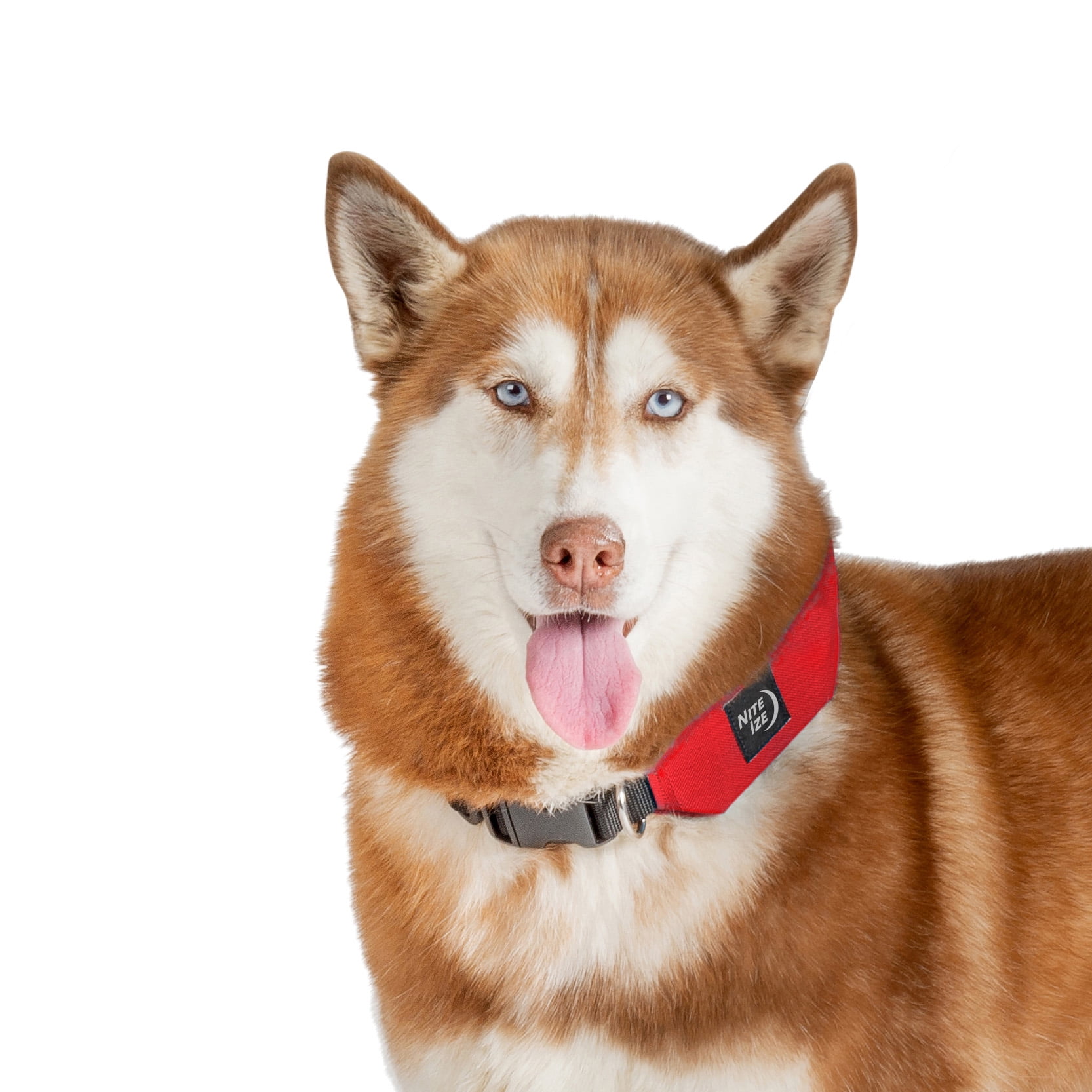Nite Ize Raddog All-in-One Collar and Leash Combo, Heavy-Duty Dog Collar with Built-in Retractable Leash, 16" to 20" Collar, Red, Large