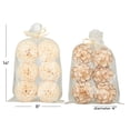 thumbnail image 3 of DecMode Beige 8" Handmade Decorative Ball Dried Plant Orbs & Vase Filler (2 Count), 3 of 8