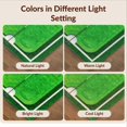 thumbnail image 7 of Design&I 8'x10' Ultra Soft Area Rug, Golf Tournament Hole Dimpled Motif Border Championship Crossed None Fluffy Washable Non Shedding for Bedroom Living Room Under Sectional, 7 of 7