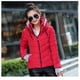 thumbnail image 1 of Chamarra De Mujer Invierno Con Capucha Acolchada Impermeable-Rojo-L Dara Baby Meimei Dam0019_7, 1 of 2