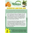 thumbnail image 2 of Rangpur Lime Tree Growing Soil Mix  3 Quarts - Custom Soil Blend  Potting Mix for Rangpur Lime Trees  Developed by and for Professional Nursery Growers - Nutrient-Rich Formula, 2 of 7