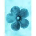 thumbnail image 2 of Teton Parchment 25x32 Gold Ornate Wood Framed with Double Matting Museum Art Print Titled - Forget Me Not Blue II, 2 of 4