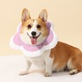 thumbnail image 2 of CSChome Collier de Récupération pour Chat - Forme de Fleur, Doux et Confortable, Collier de Guérison pour Chien après Chirurgie, 2 of 7