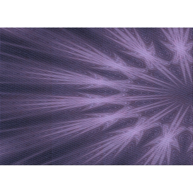 Ahgly Tapis Rectangulaire Lavable en Machine Intérieur Transitionnel Prune Violet, 8 Pieds x 10 Pieds