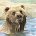 thumbnail image 2 of Great Art Now Bear Bath by Stellar Design Studio, Framed Wall Art, 18W x 18H, 2 of 2