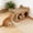 D, variant on 2-in-1 Corrugated Cardboard Cat Scratcher and Bed Durable Scratching Pad and Nap Cave for Indoor Cats Claw-Trimming Toy for Play and Sleep 18.9X9.65X11.8in