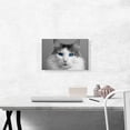 thumbnail image 2 of ARTCANVAS Ragdoll Gray Home decor Canvas Art Print - Size: 18" x 12" (0.75" Deep), 2 of 9