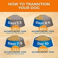 thumbnail image 4 of Nature's Recipe Grain Free Dog Food, Salmon, Sweet Potato & Pumpkin Recipe Easy to Digest, 4 Pound Bag, 4 of 10