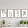 thumbnail image 4 of Botanical Plant Wall Art Decor Prints Sign 16x11 Inch Set of 4 Large Bathroom Minimalist Wood Framed Floral Laundry Room Leaf Eucalyptus Watercolor Hanging (White), 4 of 7