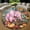 Thanksgiving Pink Elephant 1, variant on Circle Area Rug, Christmas Amethyst 2 Washable Non-Slip Floor Carpet, Soft Rug for Living Room Bedroom Decor 24 Inch
