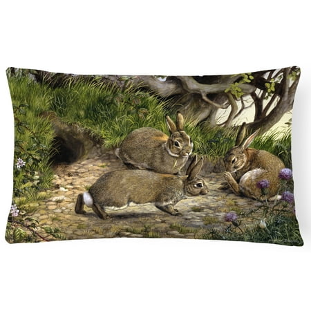 Rabbits and the Rabbit Hole Fabric Decorative Pillow BDBA0136PW1216 - Walmart.com