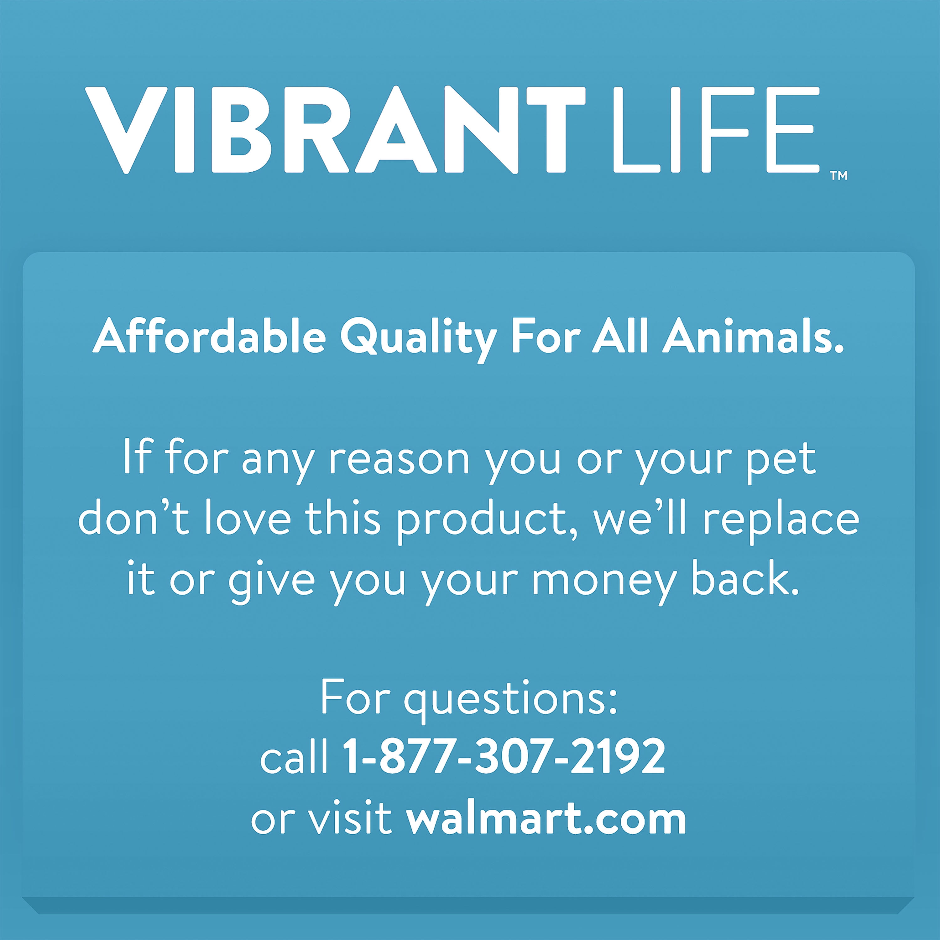 Vibrant Life Gravity Pet Feeder, Blue, Large for Dogs and Cats, 10 Pound  Capacity