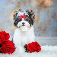 thumbnail image 6 of Yirtree Dog Bows 10 Pcs Metal Clips Puppy Yorkie Small Dog Bowknot Hair Bows/Handmade Cute Patterns Topknot Bows for Pet Grooming Hair Accessories, 6 of 8