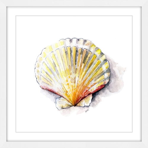 Marmont Hill "Sea Scallop" by Rachel Byler Framed Painting Print
