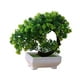 thumbnail image 4 of Plantas artificiales en maceta Adorno verde Planta artificial en maceta para decoración Estilo loto, 4 of 9