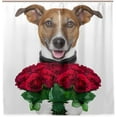 thumbnail image 2 of Coolnut Dog with A Bouquet of Red Roses Bath Shower Curtain Liners 72"x72", 100% Polyester Waterproof with C-Shaped Curtain Hook Modern Bathroom Decoration 1 Panel, 2 of 5