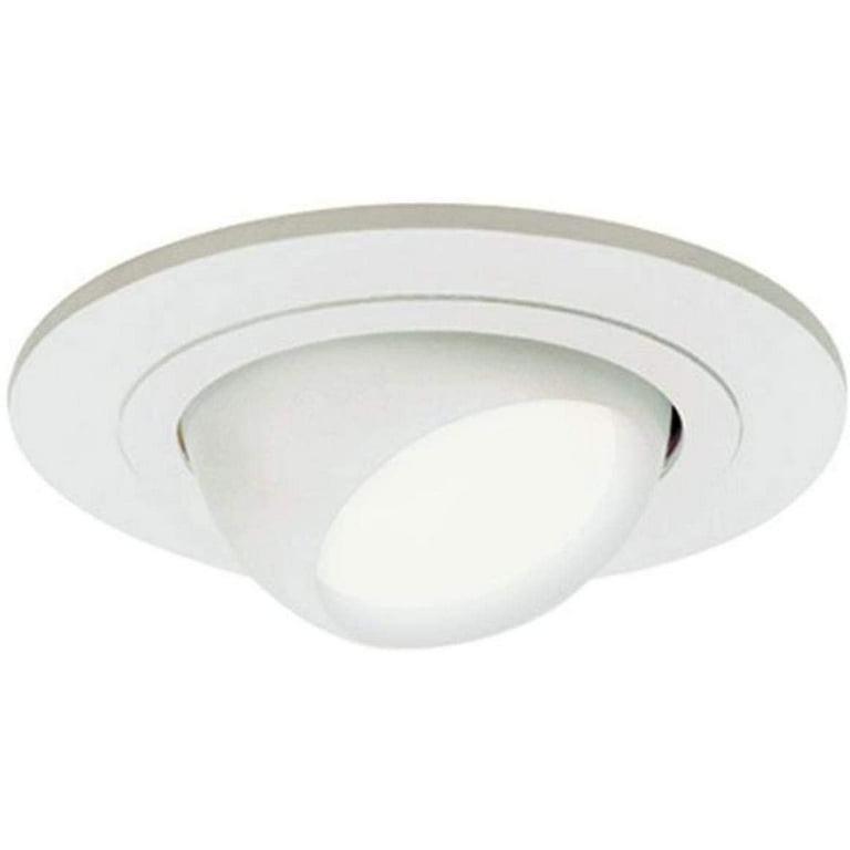 Eyeball sale can light