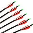YTBW 12X Archery 28 Inch Carbon Arrows 7.8Mm Sp 500 For Compound