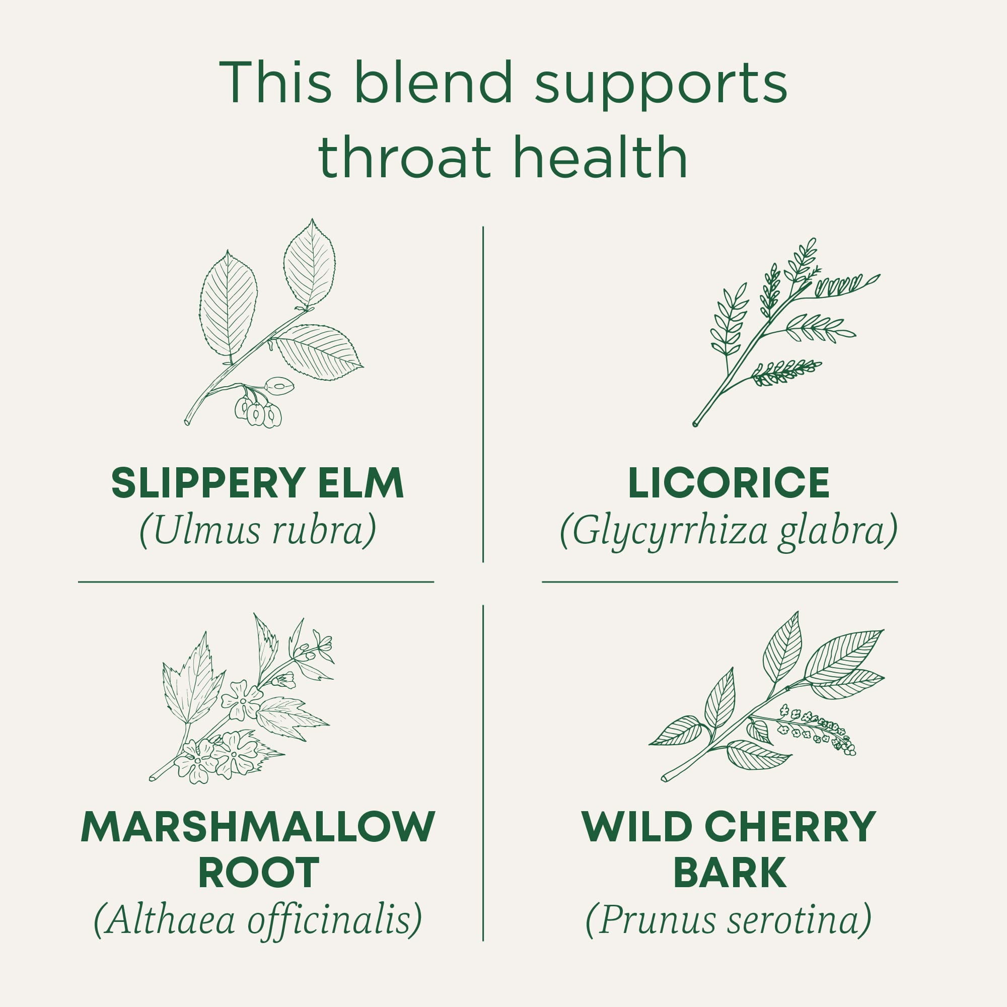 Traditional Medicinals Organic Throat Coat®, Original with Slippery Elm, Caffeine Free, 48 Wrapped Tea Bags, 3.38 oz (96 g)