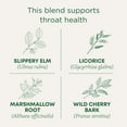 thumbnail image 3 of Traditional Medicinals Organic Throat Coat®, Original with Slippery Elm, Caffeine Free, 48 Wrapped Tea Bags, 3.38 oz (96 g), 3 of 7