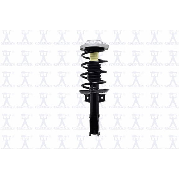 Suspension Strut and Coil Spring Assembly