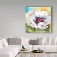 thumbnail image 3 of Trademark Fine Art 'Glorious Colors' Canvas Art by Annelein Beukenkamp, 3 of 3