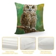 thumbnail image 4 of Orinice Owl Branch Graphic Decorative Pillow Cover for Home Couch Living Room Bed Sofa 24x24in, 4 of 5
