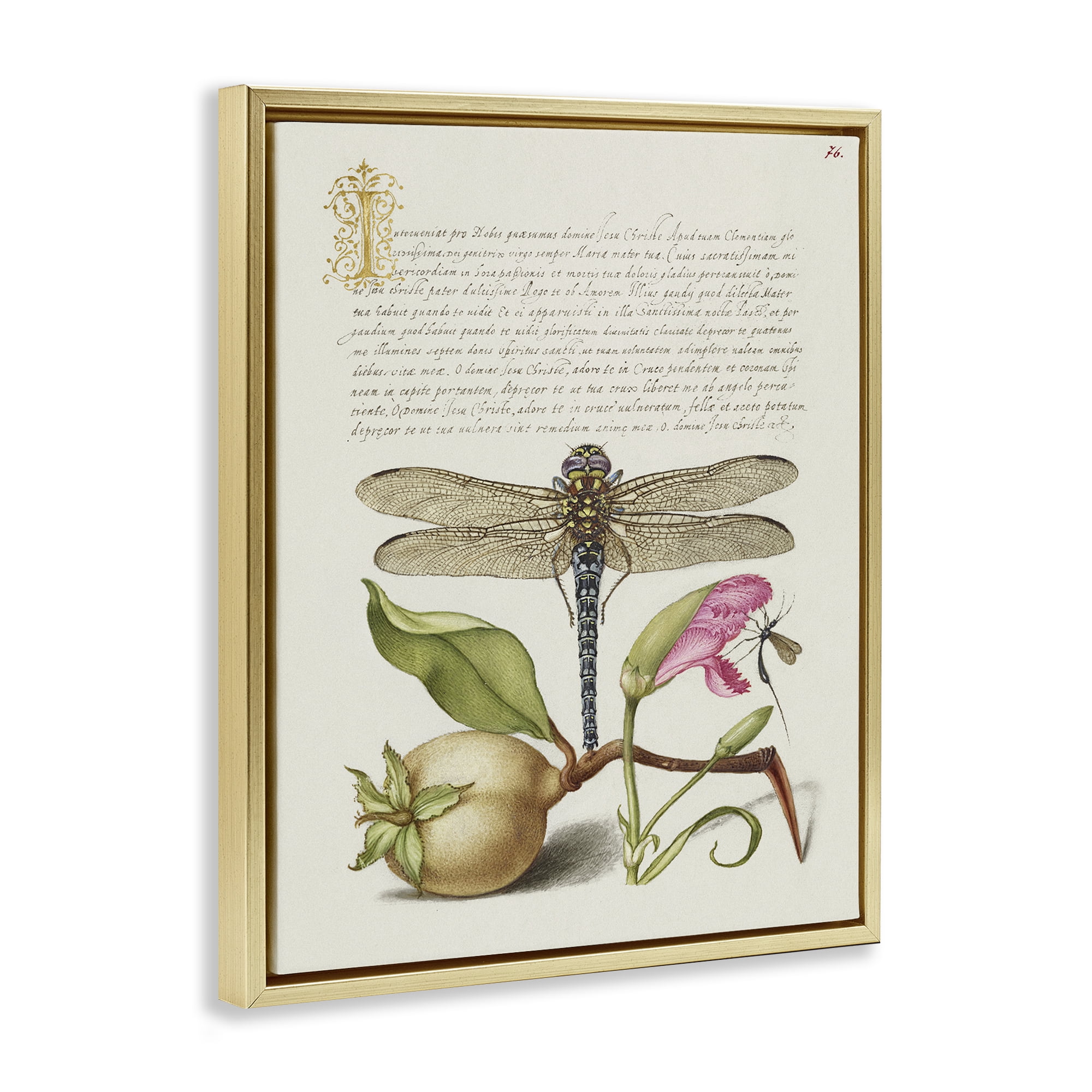 Stupell Industries Vintage Dragonfly & Plants Text & Numbers Painting Gold Floater Framed Canvas Art Print Wall Art, 17 x 21