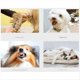 thumbnail image 5 of Peine para Perros con Nudo Abierto, Peine Depilatorio para Perros y Gatos, Herramienta de Aseo para Pelo y Rizado para Mascotas Negro, 5 of 7