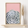 thumbnail image 2 of PixonSign Framed Canvas Print Wall Art Atlantis Succulent on Pink Background Nature Plants Photography Realism Modern Scenic Colorful Green Pastel for Living Room, Bedroom, Office - 16"x24" Natural, 2 of 5