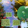 thumbnail image 4 of LOVEVER  Aquariums Floating Plant Rings Aquaponic Decorations Square Round Floating Plant Holder Keep Floating Plant in Place, 4 of 13